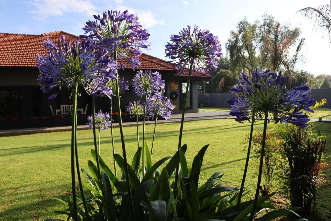 Villa Grande Luxury Accommodation Welkom Luaran gambar